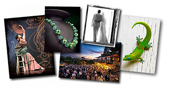 Professional Photography